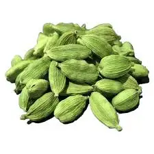 cardamome-verte-%d9%87%d9%8a%d9%84-%d8%a3%d8%ae%d8%b6%d8%b1