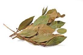 Feuille Laurier - ورق سيدنا موسى